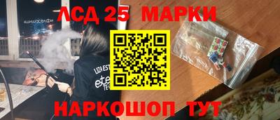 спиды Новозыбков